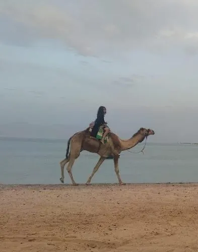 صبابا كامب Sababa Camp Campingplatz Nuweiba`