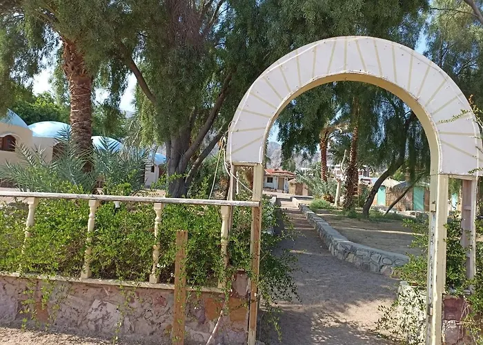 صبابا كامب Sababa Camp